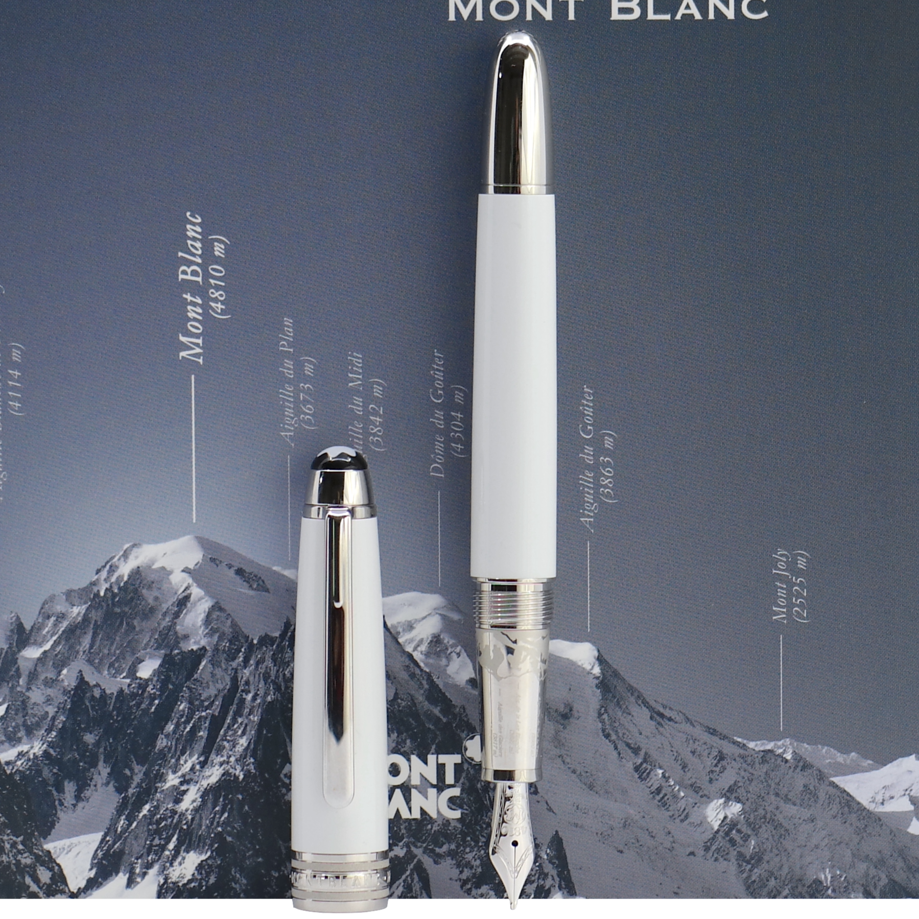 Montblanc Meisterstück Tribute to the Montblanc Classique Fountain Pen